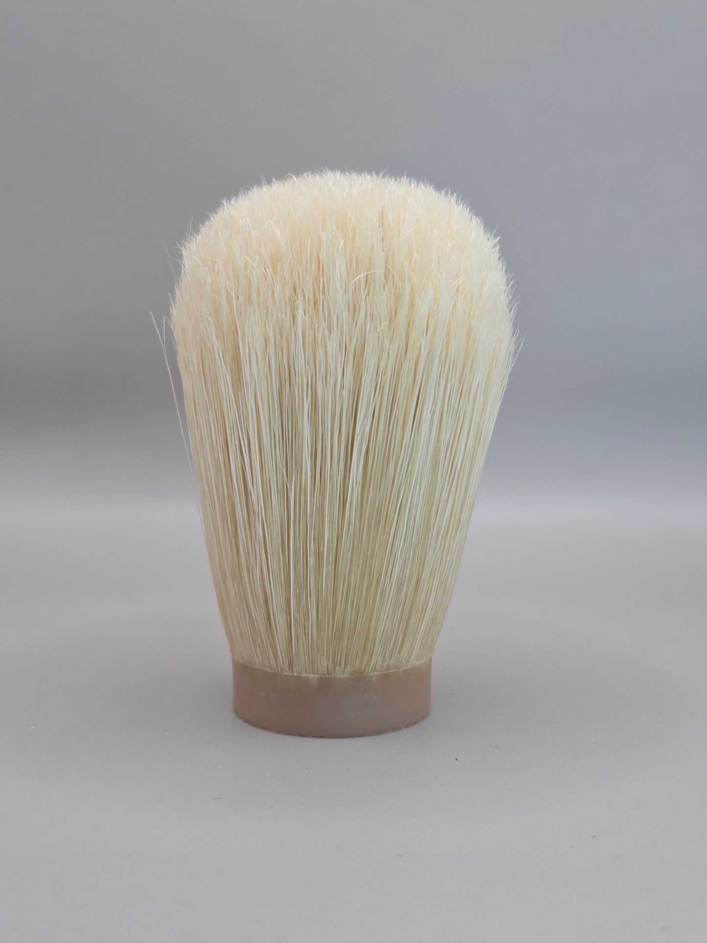 DinoBoar Knot 26mm